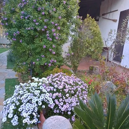 Casa Aldebaran Torre delle Stelle